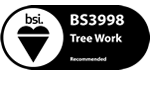 bsi_logo